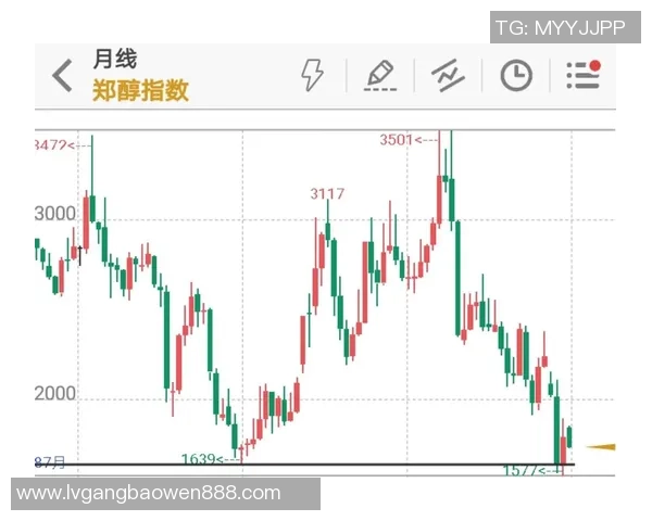 重庆足球队与北京足球队赛后技术分析与战术复盘探讨